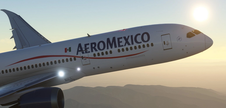 Microsoft Flight Simulator