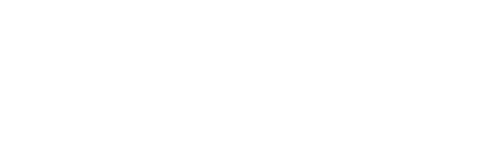 Delta Airlines