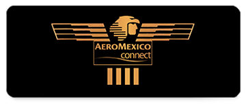 Instructor | Aeromexico Connect