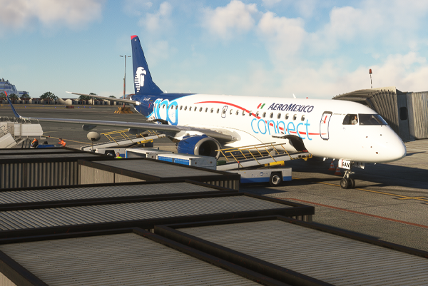 Microsoft Flight Simulator